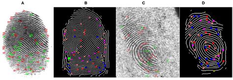 latent fingerprint identification